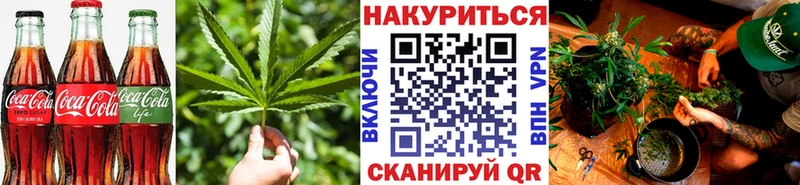 Canna-Cookies марихуана  Нолинск 