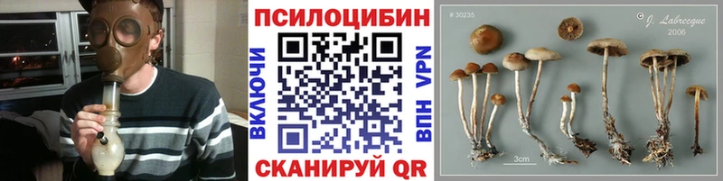 Галлюциногенные грибы мухоморы Нолинск