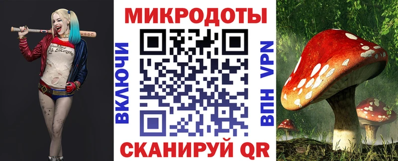наркота Нолинск мега ТОР Псилоцибиновые грибы ЛСД